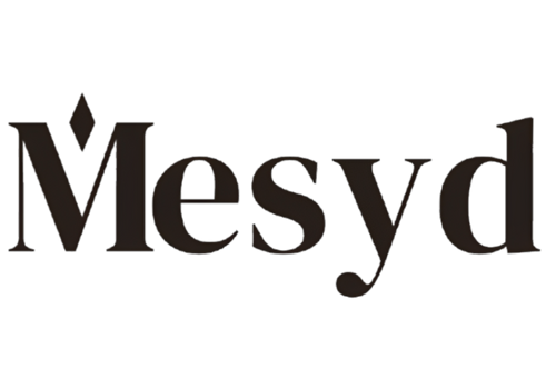 Mesyds Store___1